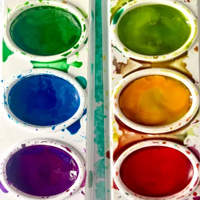6 Color