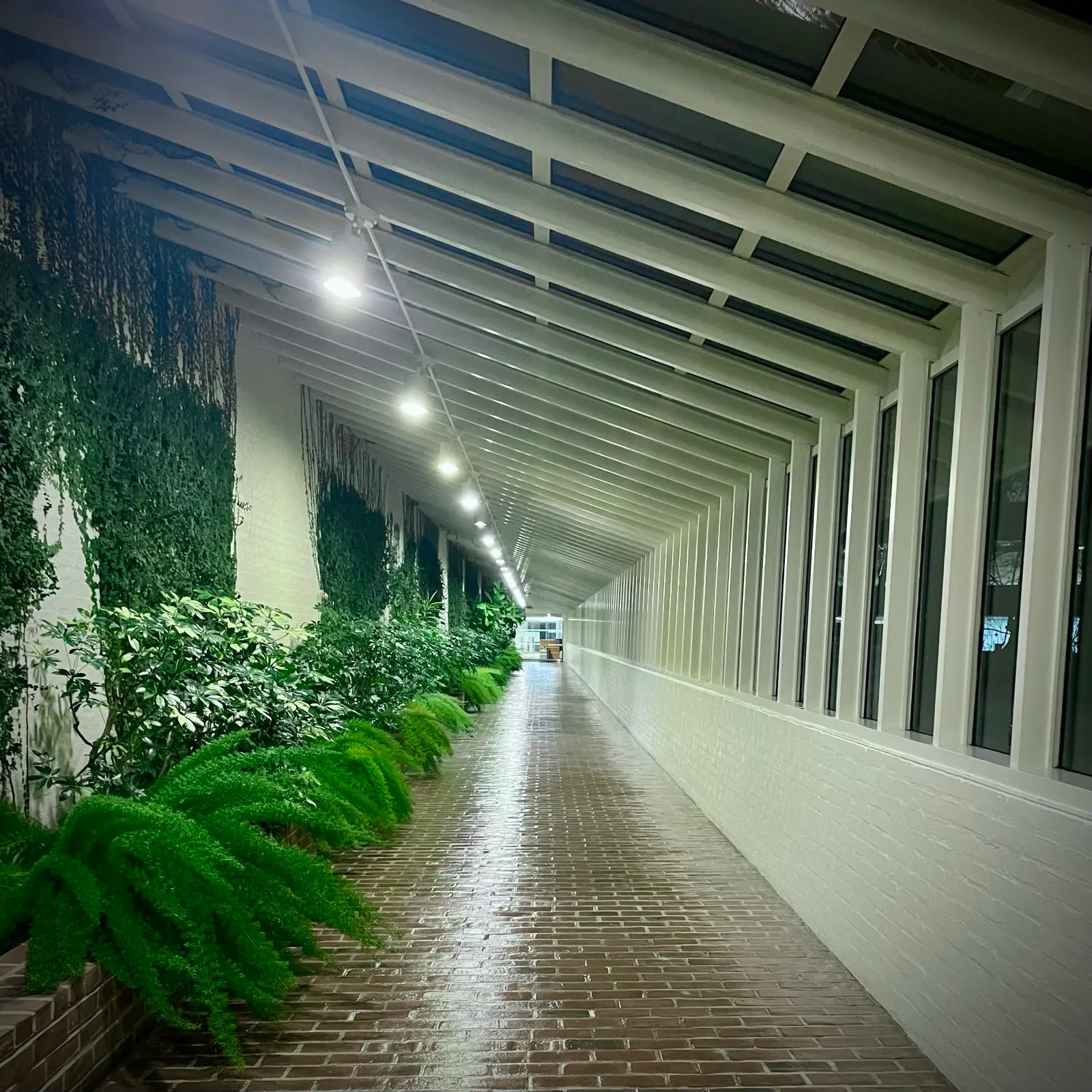 9 Corridor
