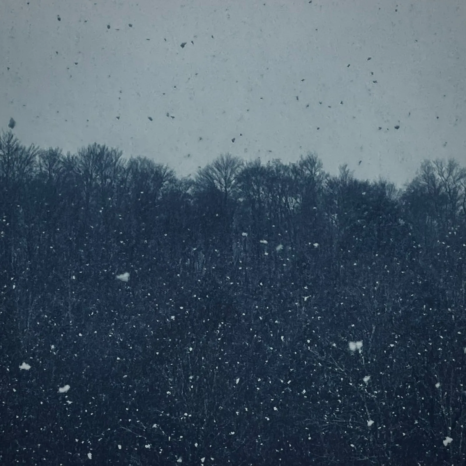 11 Snowfall