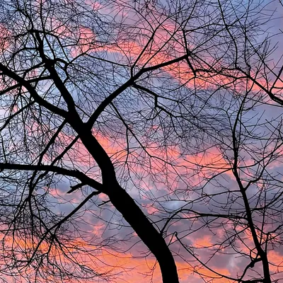 12 Sunset