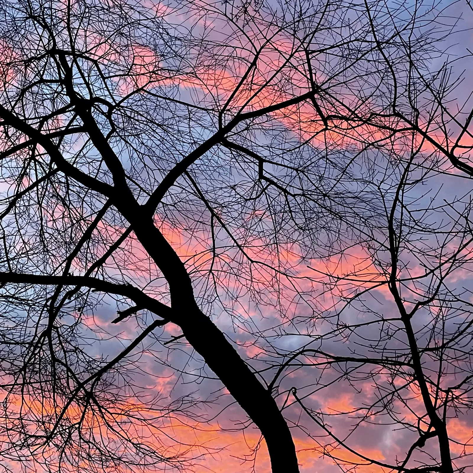 12 Sunset
