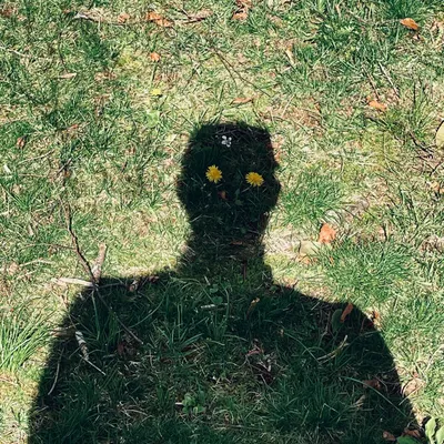23 Dandelions