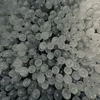 29 Balls