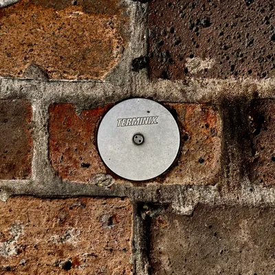 33 R